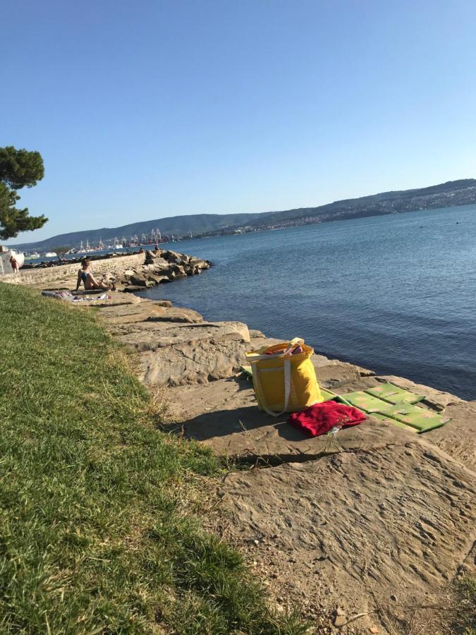 Istrska Hisa Centurium Villa Marezige Exteriör bild