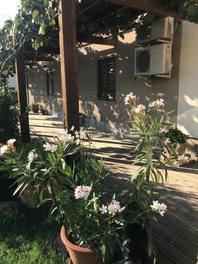 Istrska Hisa Centurium Villa Marezige Exteriör bild