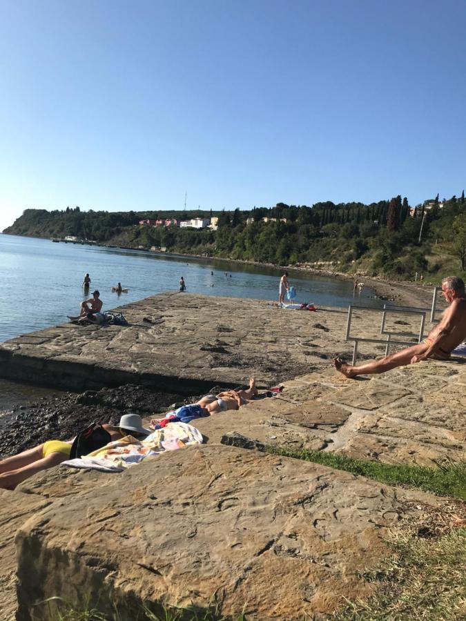 Istrska Hisa Centurium Villa Marezige Exteriör bild