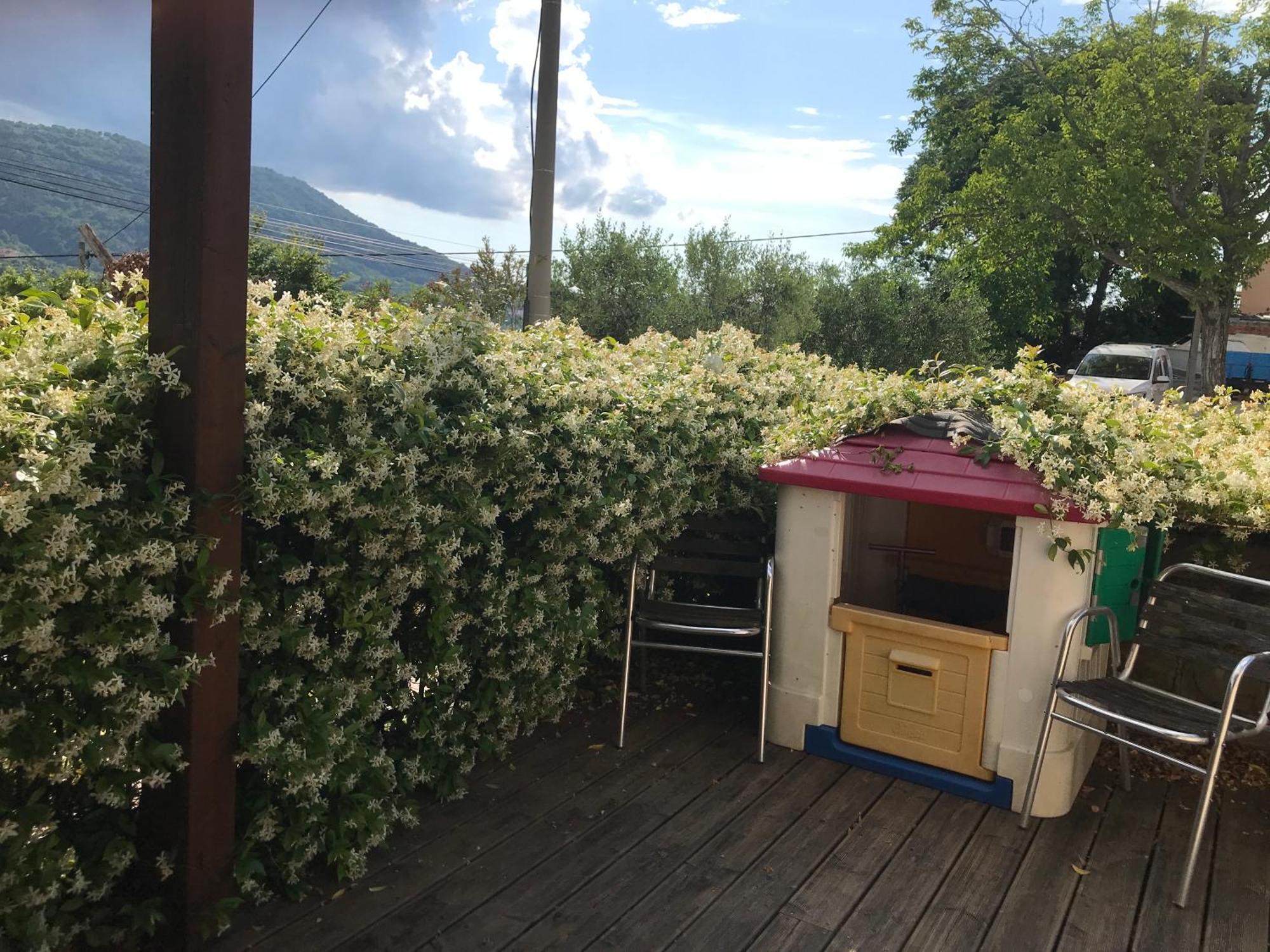 Istrska Hisa Centurium Villa Marezige Exteriör bild