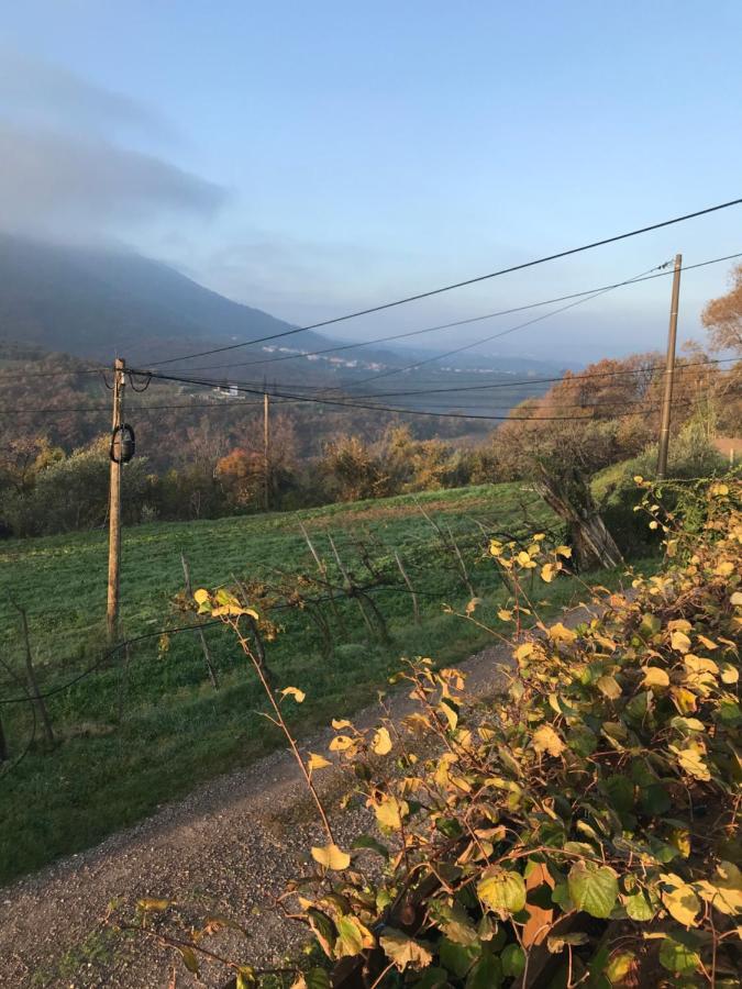 Istrska Hisa Centurium Villa Marezige Exteriör bild