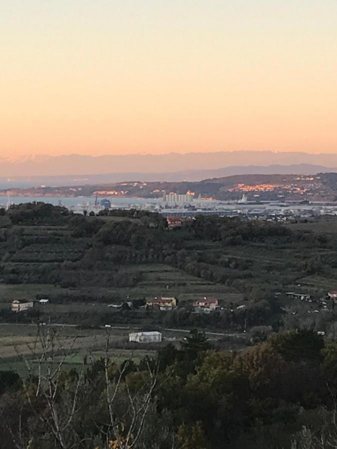 Istrska Hisa Centurium Villa Marezige Exteriör bild