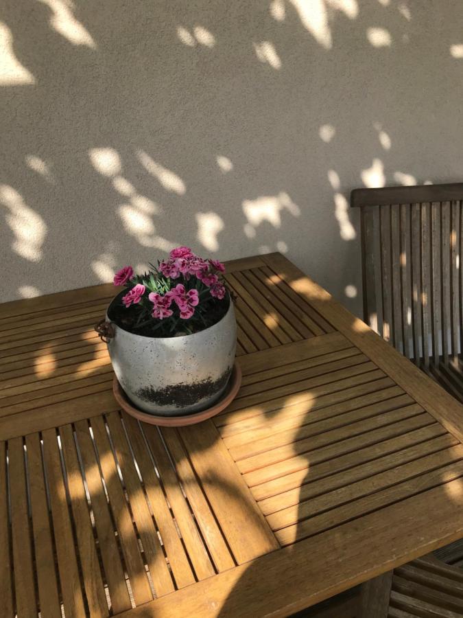 Istrska Hisa Centurium Villa Marezige Exteriör bild